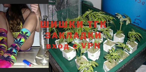 ешки Аркадак